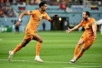 Netherlands vs Qatar live stream: How to watch World Cup fixture online and on TV
