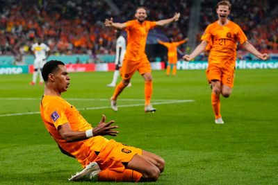 What TV channel is Netherlands vs Qatar on? Kick-off time and where to watch World Cup 2022 fixture