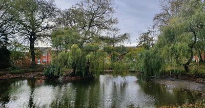 Hidden beauty spot 'left to decline' on new build estate