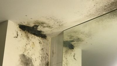 Defect-riddled apartments covered in mould could be write-offs as repair costs mount