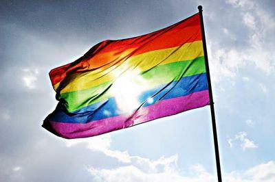 Pitch invader takes the field during World Cup match waving LGBT+ flag