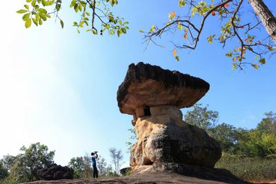 Park to be tabled for World Heritage status