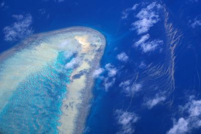 Great Barrier Reef should be put on 'in danger' list, UN panel says