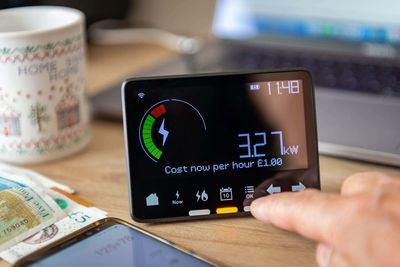 Ovo joins scheme to pay customers to cut their energy usage