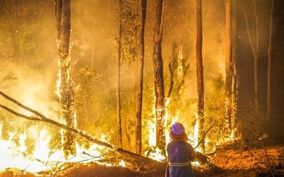 There’s a diversity of bushfire risk this summer, agencies say