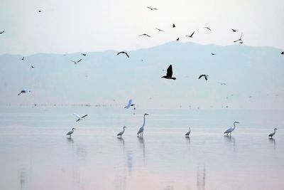 Drying California lake to get $250M in drought funding