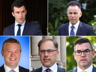 Liberal chief quits after state poll loss