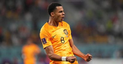 Netherlands vs Qatar prediction and odds ahead of final Group A clash at 2022 FIFA World Cup