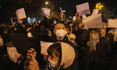 Blank paper, equations and alpacas: the symbols of China’s zero-Covid protests