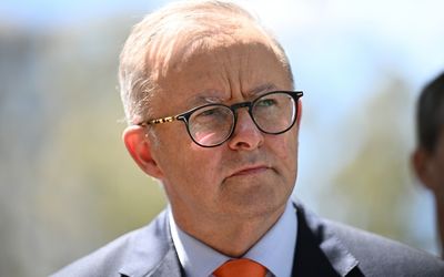 Anthony Albanese looks to end false political advertising