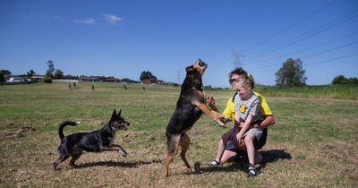 New fenced off-leash area set to delight local dogs