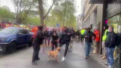Victorian man filmed kicking a dog during COVID protests hit with $9,000 fine and 12-month probation