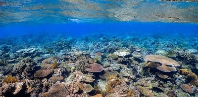 We all know the Great Barrier Reef is in danger – the UN has just confirmed it. Again