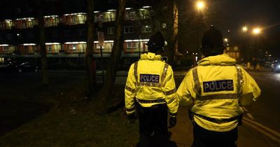 Plans for new wardens to combat Newcastle anti-social behaviour hit by recruitment setback