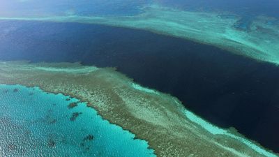 UN team says Great Barrier Reef should be on heritage 'danger' list