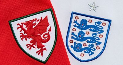 How to watch Wales vs England live stream free: Kick-off time and TV channel for World Cup clash