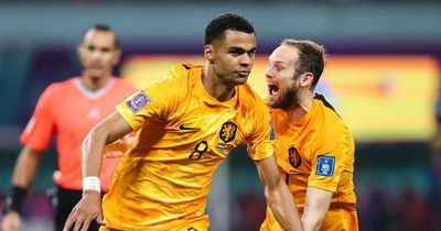 What TV channel and time is Netherlands v Qatar on today in the World Cup?