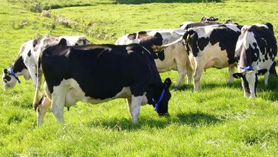 ‘Unacceptable cultural barriers’ preventing women taking over family farms