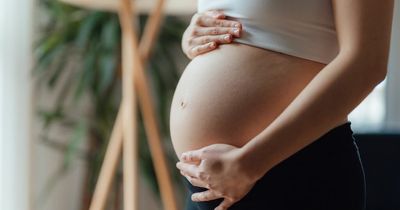 Mum pregnant with her seventh child 'told off for having too many kids'