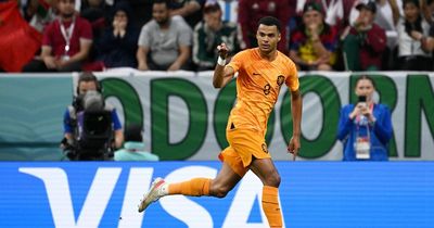 'He is the real deal' - Manchester United fans go wild as Cody Gakpo scores again at the World Cup
