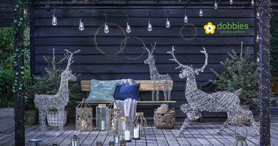 £5 OFF WHEN YOU SPEND £25 AT DOBBIES this Christmas