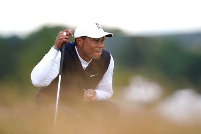 Tiger Woods backs up Rory McIlroy and says LIV Golf boss Greg Norman ‘has to go’