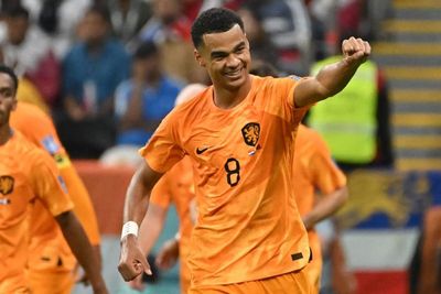 Netherlands top Group A as Qatar’s World Cup comes to a forgettable end