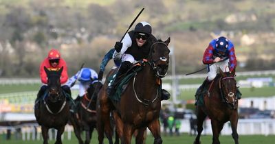 Horse racing fans invited to enter competition to win a trip to Cheltenham for The International in December