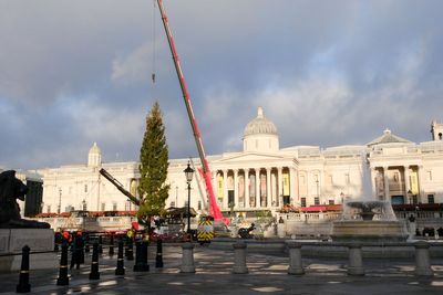 Why does Trafalgar Square’s Christmas Tree come from Norway and when will it be lit?