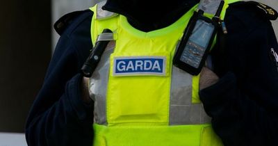 Garda survey finds sexual crimes and domestic abuse are top policing priorities for Irish public