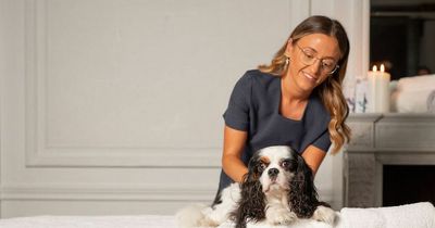 Glasgow hotel launches spa day for dogs so pets and owners can get pampered together
