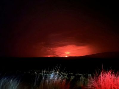 Factbox-Hawaii's Mauna Loa volcano erupts