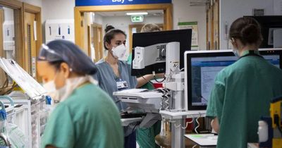 Newcastle, Gateshead and Northumbria NHS trust nurses set to strike just days before Christmas