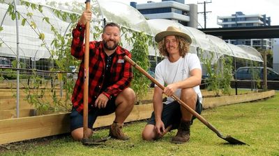 Wollongong distillery creates urban farm to grow garnishes, reduce hospitality green waste