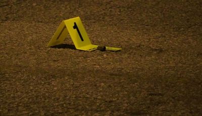 Boy, 16, shot while walking in Roseland