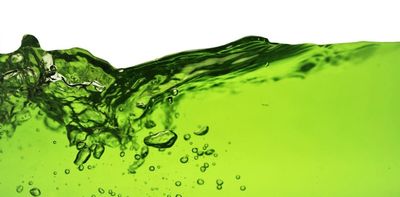 Chlorophyll water can't clear your skin or detox your liver. But this TikTok trend got one thing right