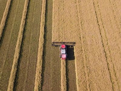 Producers are adapting to climate change