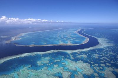 The U.N. sys the Great Barrier Reef is in danger of disappearing