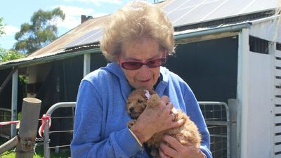 Eugowra flood victim given puppy after losing almost all her possessions