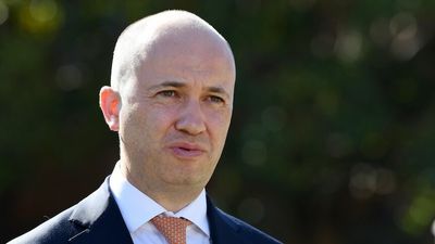 NSW Treasurer Matt Kean says Liberal Party's preselection 'not reflecting the community'