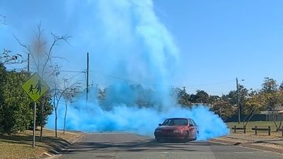 'Hooning' car filmed in gender reveal in Logan dismantled on steps of Queensland parliament