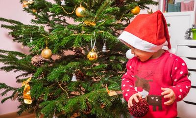 No, it’s not too early for a Christmas tree. Mine has been up for ages