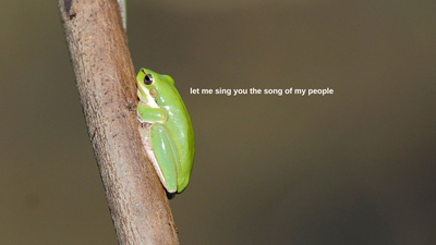 An Album Made Entirely Of Aussie Frog Sounds Wants To Hop On The Charts Yr Summer Playlists