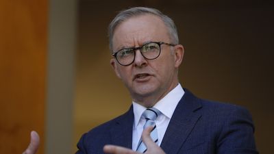 Anthony Albanese extends olive branch to business groups staunchly opposed to workplace law changes