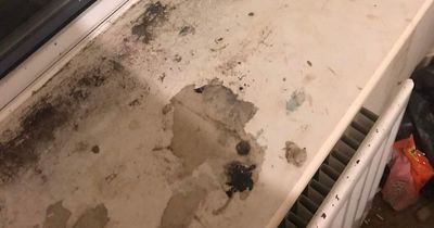 Mum says her kids are ill due to mouldy home from hell that's 'worse than a squat'