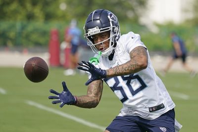 Titans add WR Reggie Roberson to practice squad