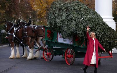 Jill Biden restores the spirit of Christmas after Melania’s blood trees and witch fingers