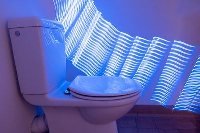 Farts say more about your health than you think — now, scientists are listening