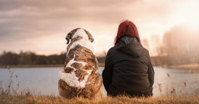 Dog owners are going without food to keep their pets fed, research shows