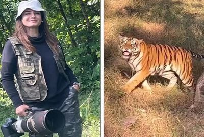 Raveena Tandon Says Forest Department's Jeep Was On Track After Satpura Reserve Official Starts Probe Over Video